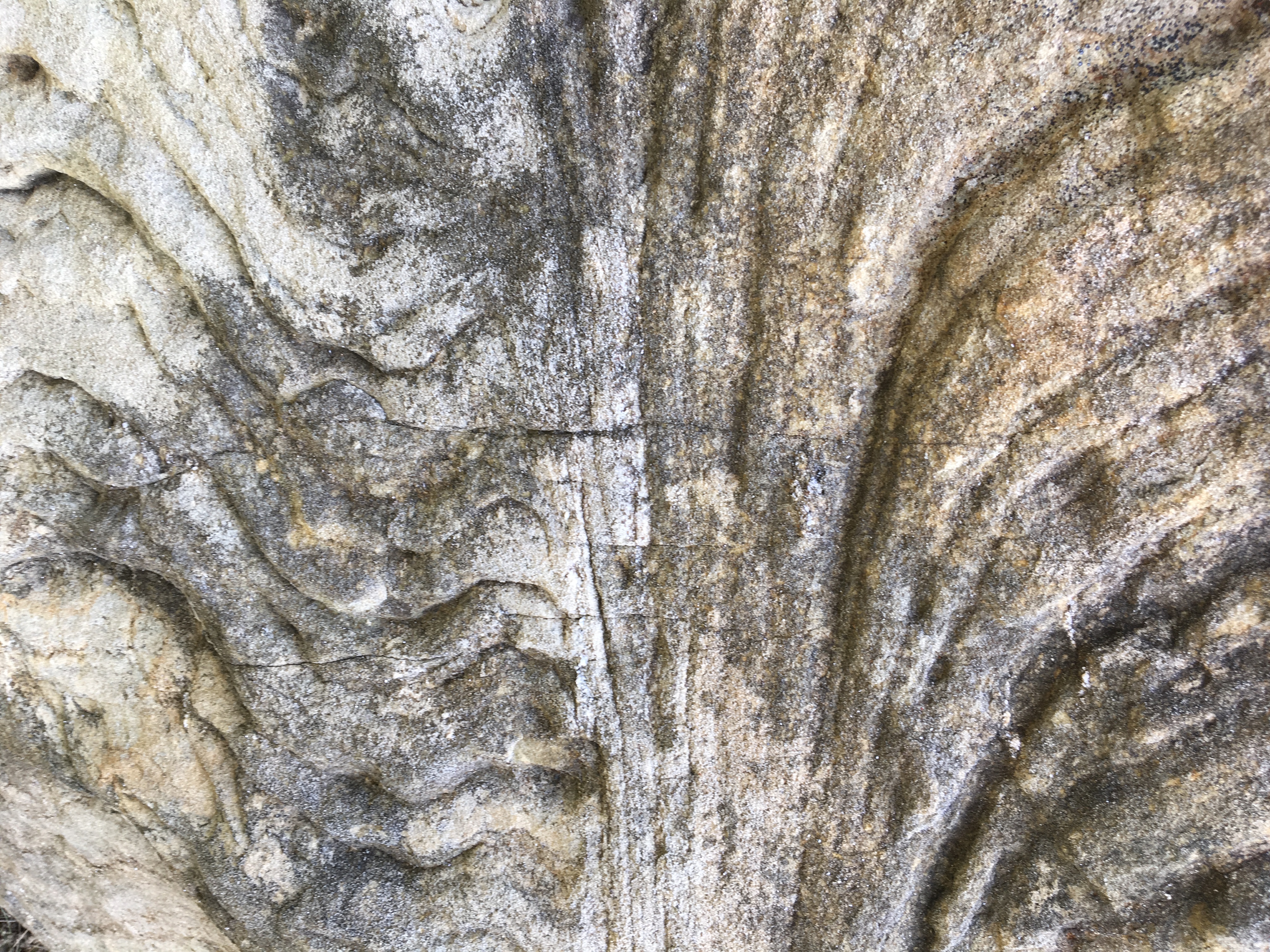 Cockeysville marble from Campbell Quarry in Texas, Maryland